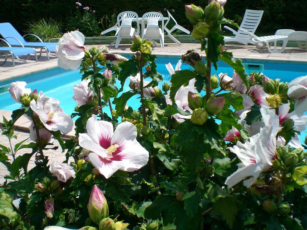 Chambres D'Hotes Le Clos Des Senteurs Malemort Buitenkant foto